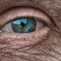 What are the three major eye diseases?